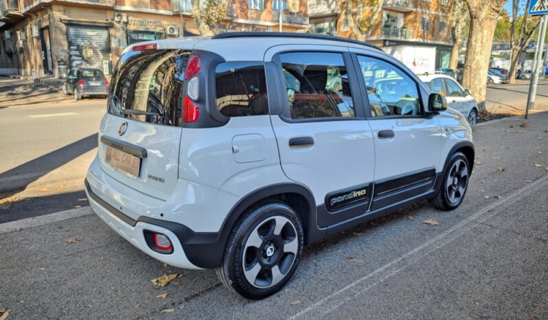 PANDINA 1.0 HYBRID CROSS SENZA VINCOLI FINANZIAMENTO full